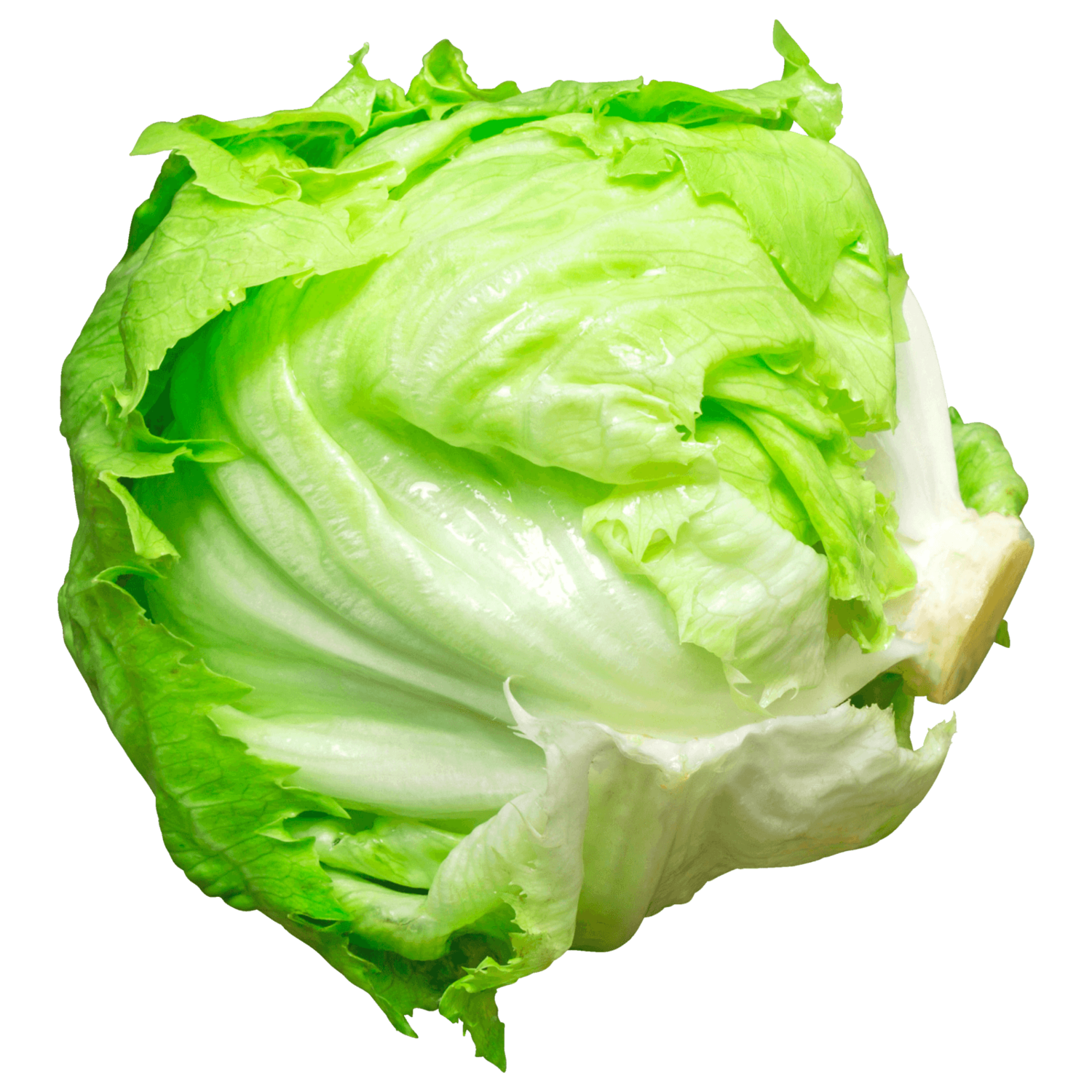 Eisbergsalat