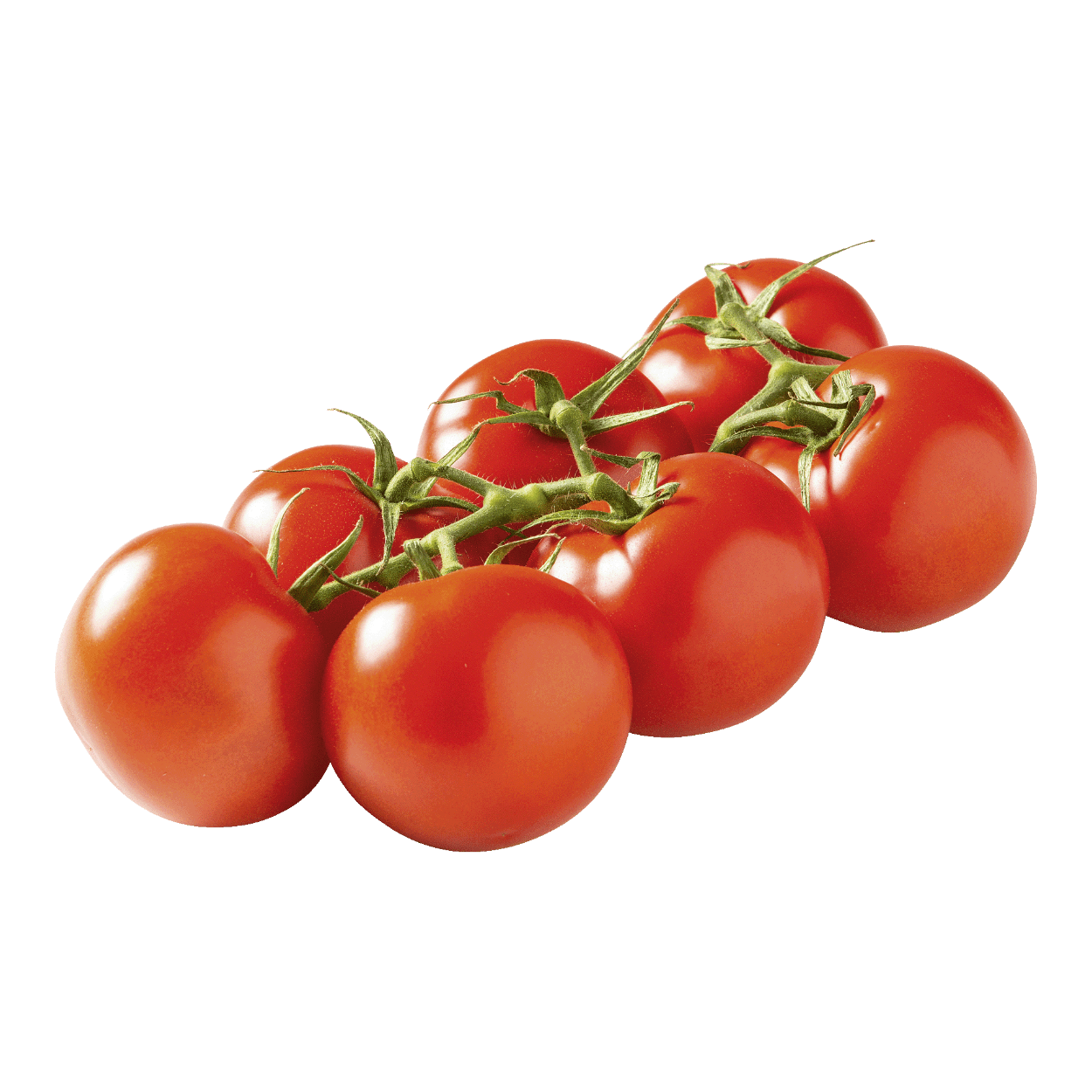 Strauchtomaten 5kg Elite