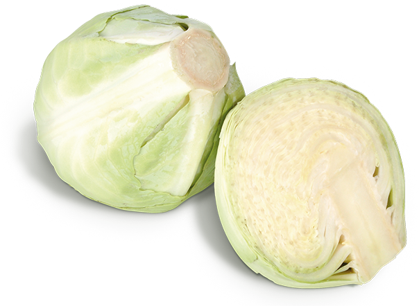 Weißkraut