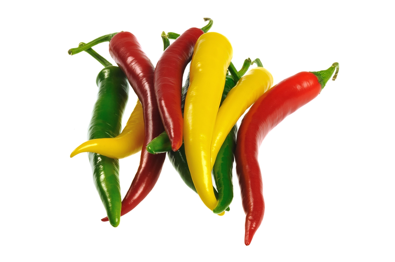 Peperoni frische