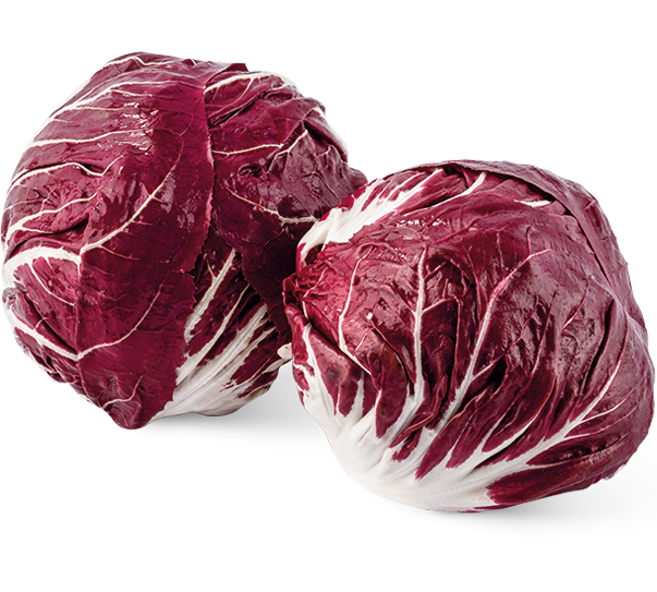 Radicchia 3kg