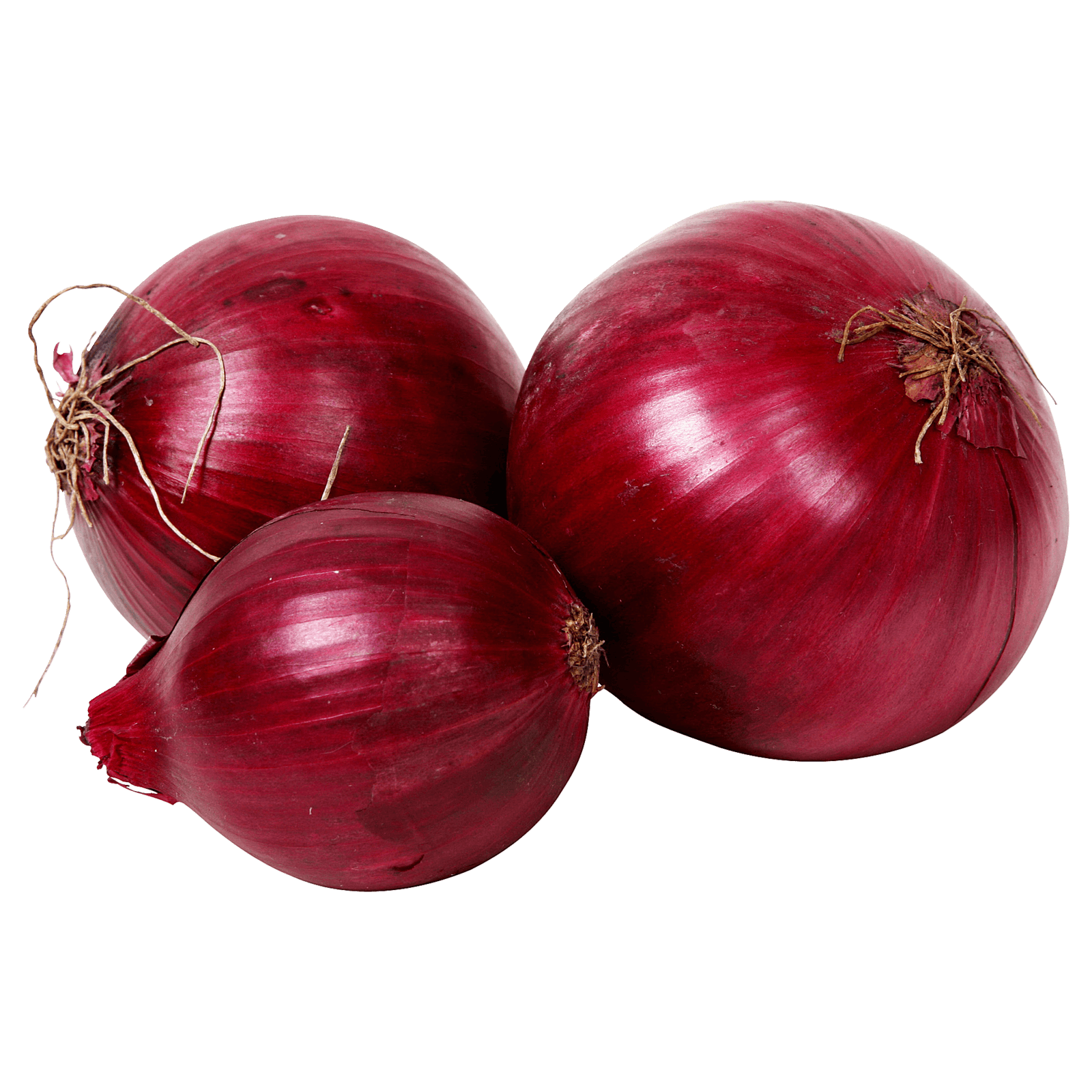 Rot Zwiebel 10kg